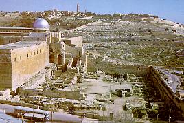 Remains of the Umayyad palace restored by Israeli architects. (MFA)
